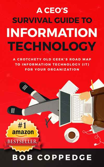 CEO's Survival Guide to Information Technology